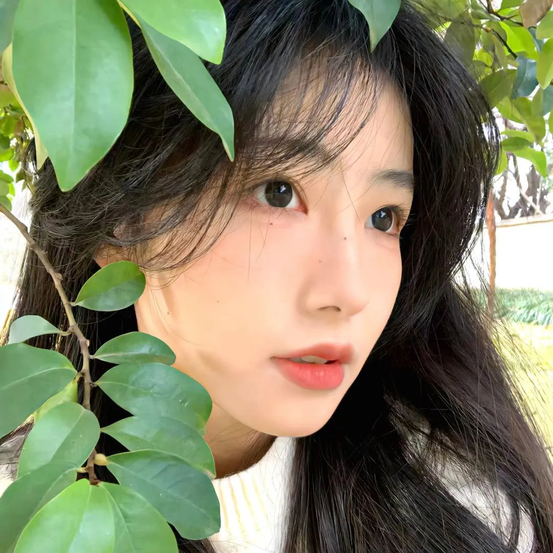 纸年