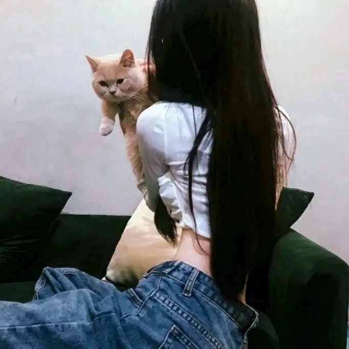 往事情缘